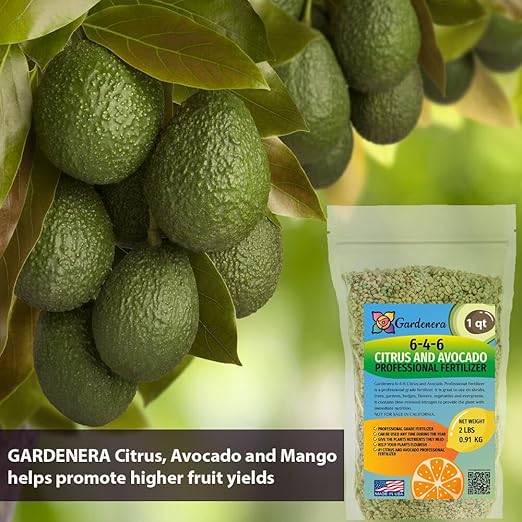 Premium Citrus and Avocado Fertilizer (6-4-6) by Gardenera - Enhance The Health and Flavor of Your Citrus and Avocado Fruits - 3 QUARTS