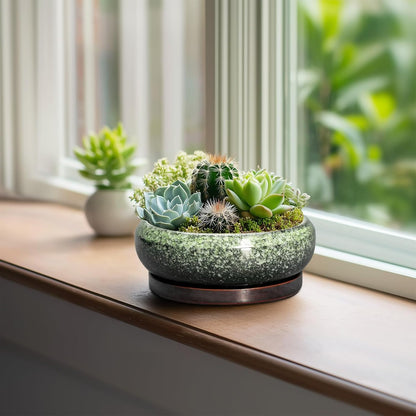 Succulent Pots 6 Inch - Ceramic Bonsai Pots with Drainage Hole and Saucer, Succulent Planters for Indoor Outdoor, Small Shallow Planter, Round Cactus Pot, Room Decor, Plant Lover Gift, Green