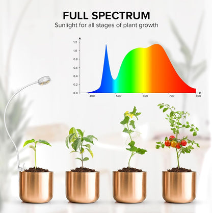 Grow Lights for Indoor Plants, Pot Clip LED Plant Lights for Indoor Growing, Full Spectrum, 4000K with 4-Level Dimmable, Auto On/Off 3 6 12 Hrs Timer for Succulents, Pot Plants