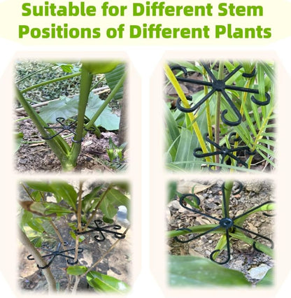 8 PCS Plant Stem Support, Plant Stakes for Indoor Plants Plant Clips for Climbing Plants, Plastic Monstera Plant Support Accessories for Potted Indoor Plant in Various Growth Stage(4 Sizes, 2 Colors)