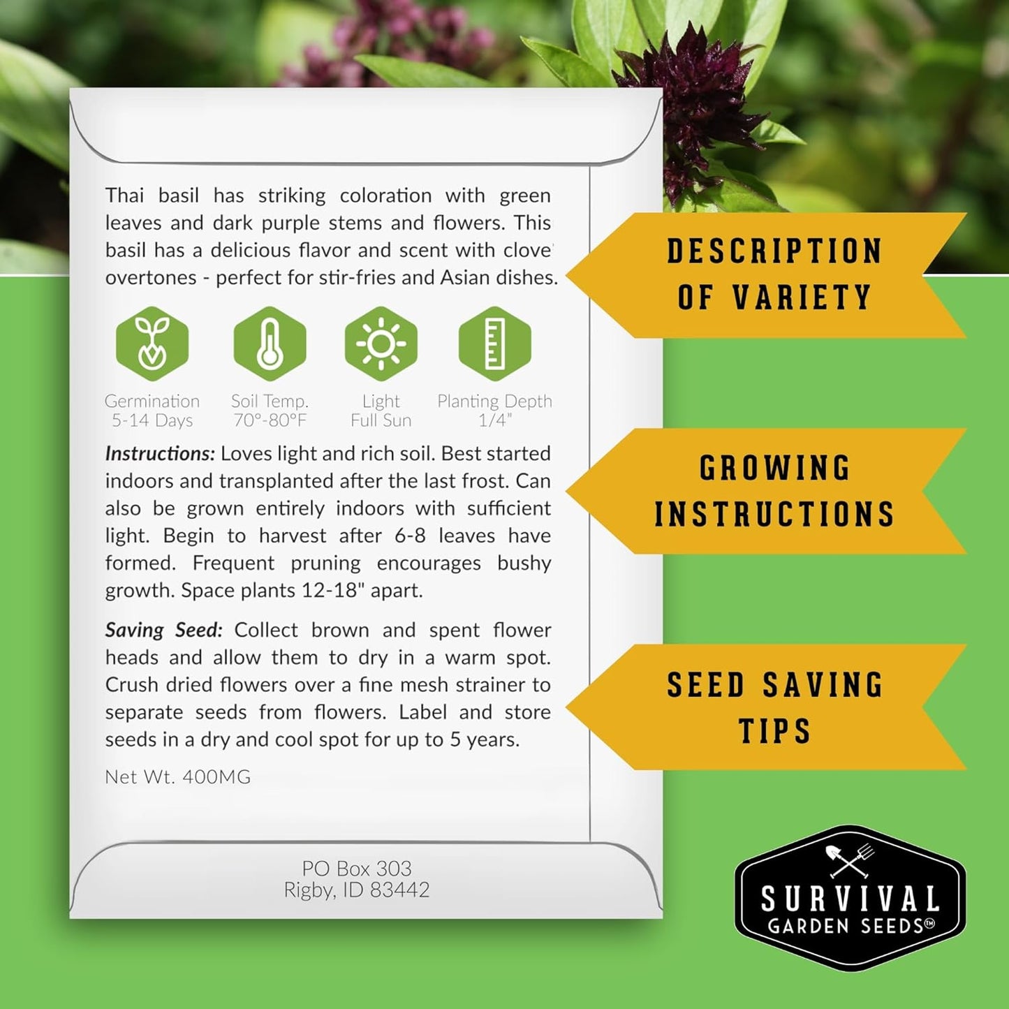 Survival Garden Seeds - Thai Basil Seed for Planting - 5 Packets with Instructions to Plant and Grow Asian Basil Indoors or Outdoors in Your Home Vegetable Garden - Non-GMO Heirloom Variety