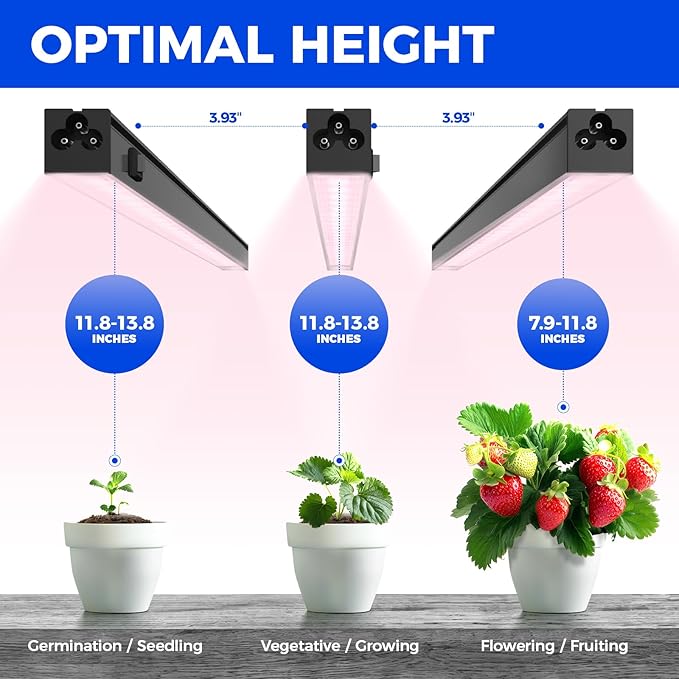 Barrina T5 Grow Light, LED Grow Lights with Black Cover, Full Spectrum Grow Light Strips, 1ft Pinkish White Plant Lights for Indoor Plants, Greenhouses, Plant Displays, Linkable Design, 8 Packs