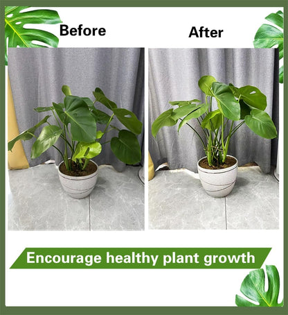 4PCS 6" Plant Stem Support,Stabilizer Grapple Holder for Monstera and Climbing Plants,Reusable Flower Plant Support,Leaf Stabilization and Support for Thriving Growth.