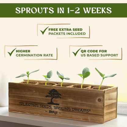AVERGO Bonsai Tree Kit for Beginners – 5X Unique Japanese Bonzai Trees | Complete Indoor Starter Kit for Growing Bonsai Plants with Tools & Planters – Gardening Gifts for Women & Men