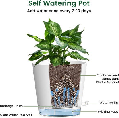 6 inch Self Watering Pots for Indoor Outdoor Plants, 6 Pack Flower Plant Pots with Drainage Holes and Clear Reservoirs, Visible Water Level, Plastic Planters with Wicking Rope, White