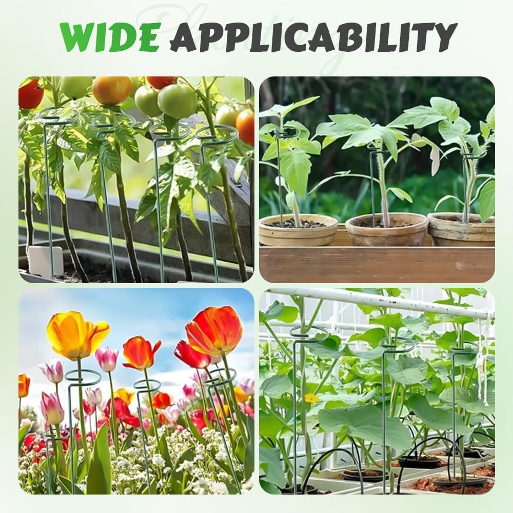 4/8/12 Pack Plant Stakes, 16/24/36 Inch Plant Support Stakes, 2025 New Plant Sticks Support, Flower Stakes for Plants Peony, Tomato Seedling, Marigold, Amaryllis, Sapling, Coreopsis (24 Inch-8 Pack)