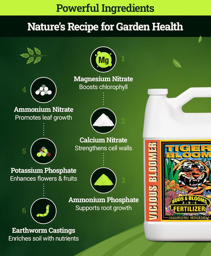 FoxFarm Tiger Bloom Liquid Fertilizer Concentrate - Fast Acting Formula for Vicious Growth with Phosphorus - Encourages Fruit, Flower & Bud Development, NPK 2-8-4 (Gallon)