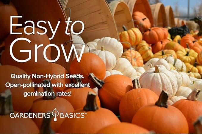 Gardeners Basics, Pumpkin Seeds to Plant - 5 Variety Baby Boo, Giant Big Max, Jack Be Little, Jack O Lantern, Sugar Pie, Great for Pumpkin Seed for Summer, Fall, Pumpkin Seeds for Planting