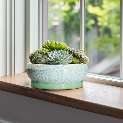Bonsai Pots - 10 Inch Ceramic Succulent Pot with Drainage Hole and Plant Saucer, Succulent Planters for Indoor Outdoor, Round Planter Bowl, Shallow Planter, Home Decor, Gardening Gift, Green