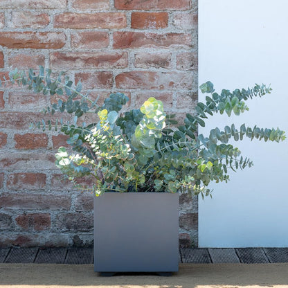 Deroma Millennium 15” Cube Planter | Light & Durable Plastic | Indoor or Outdoor Square Pot for Patio/Porch | Includes Water Reserve & Drain Plug | Trendy Planter for Plants, Flowers, Garden | Grey