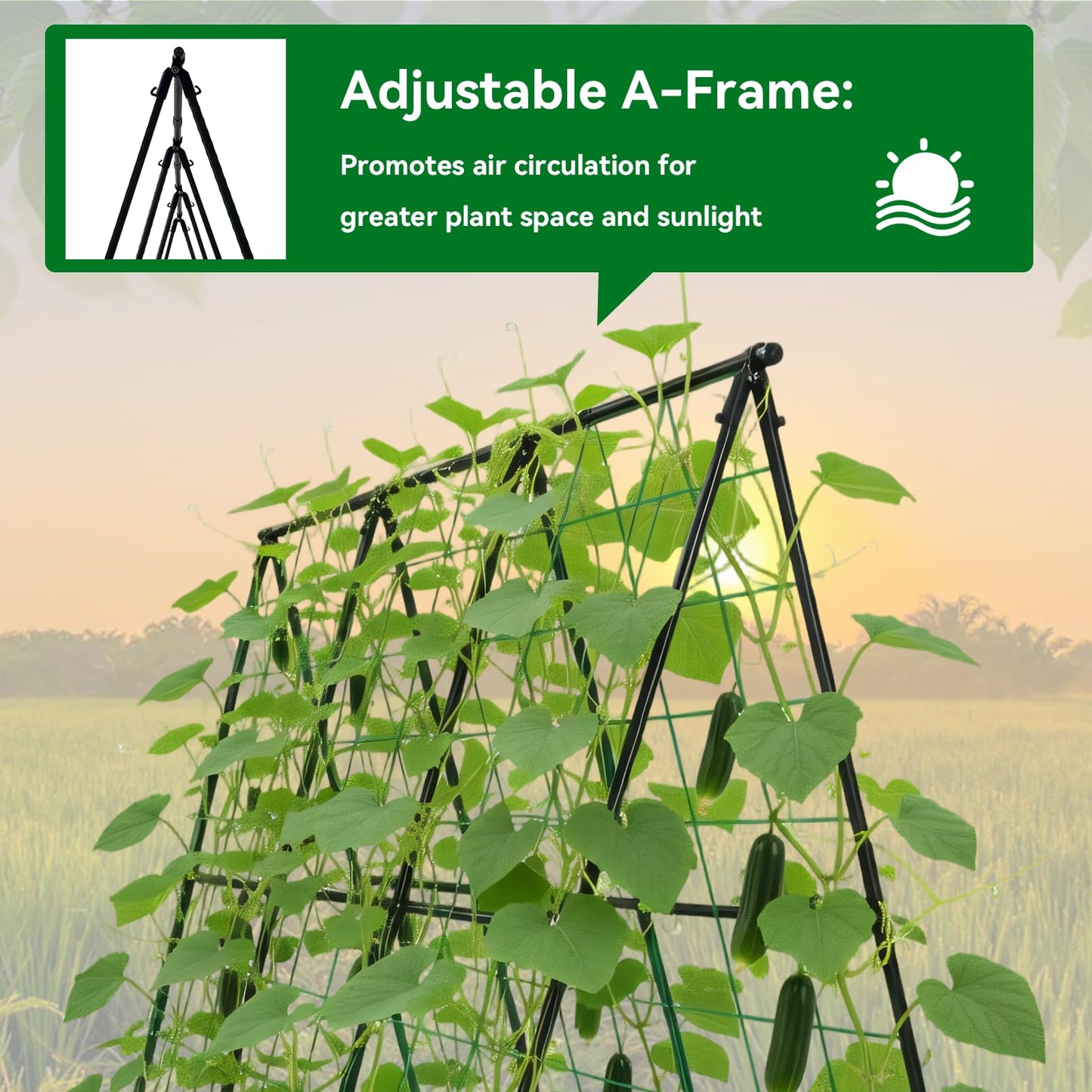 Trellume Cucumber Trellis - 49.4"*49.4" Metal Garden Trellis for Climbing Plants, Garden Trellis
