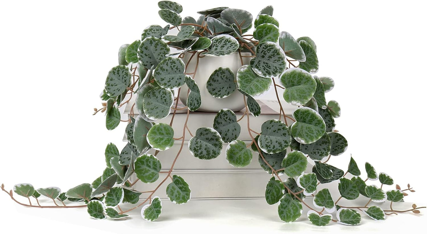 Briful Fake Plants Indoor 16'' Artificial String of Hearts Plants with Ceramic Pot Faux Draping Vine Plants for Home Bathroom Table Shelf Office Hotel Decor