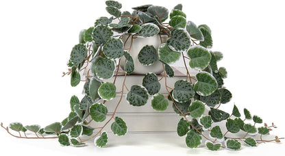 Briful Fake Plants Indoor 16'' Artificial String of Hearts Plants with Ceramic Pot Faux Draping Vine Plants for Home Bathroom Table Shelf Office Hotel Decor