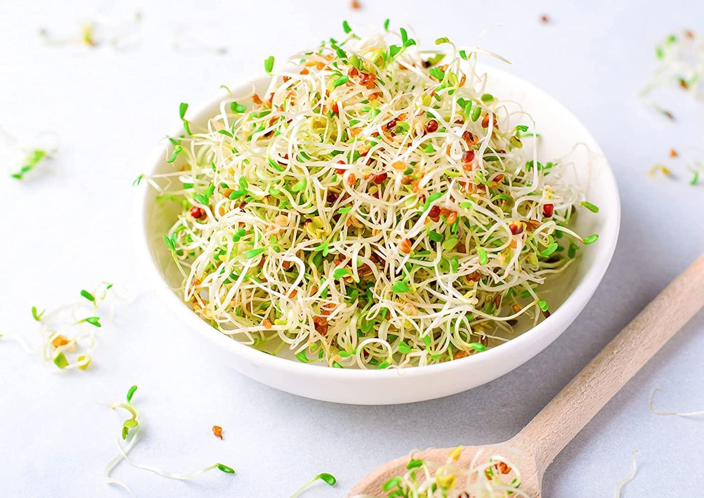 Food to Live Organic Alfalfa Seeds for Sprouting, 12 Ounces - Non-GMO, Edible Seeds, Pure, Kosher, Bulk. Rich in Vitamin K & C. High Germitation Rate. Grow Sprouts & Microgreens for Salads, Rolls