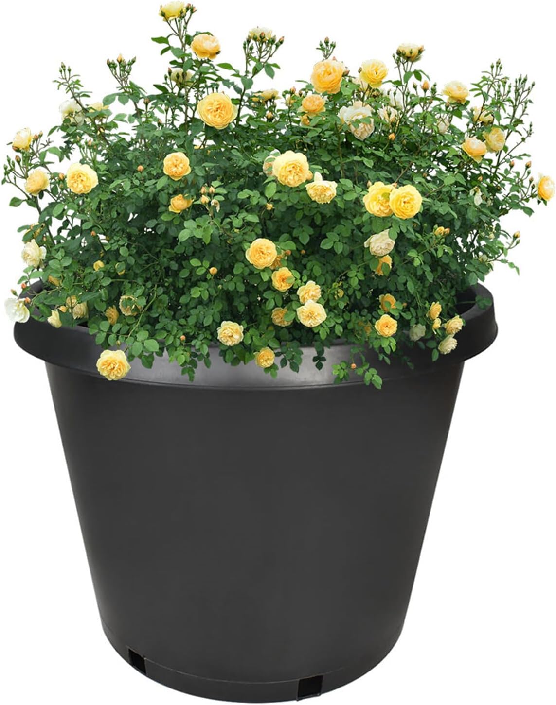 10-Pack 15 Gallon Round Premium Nursery Pot Plant Flower Seedling Container Garden Planter Pots for Indoor Outdoor Plants Flower Vegetables Black (15 Gallon)