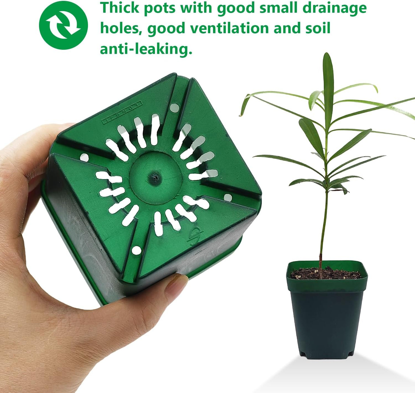 Square Nursery Pots Clearance (2.7", 3", 3.5", 4") with Drainage Holes 20 Pcs, Plastic Seed Starting Pots, Sturdy and Durable Seedling Pots for Planting, Cuttings and Transplanting, Green