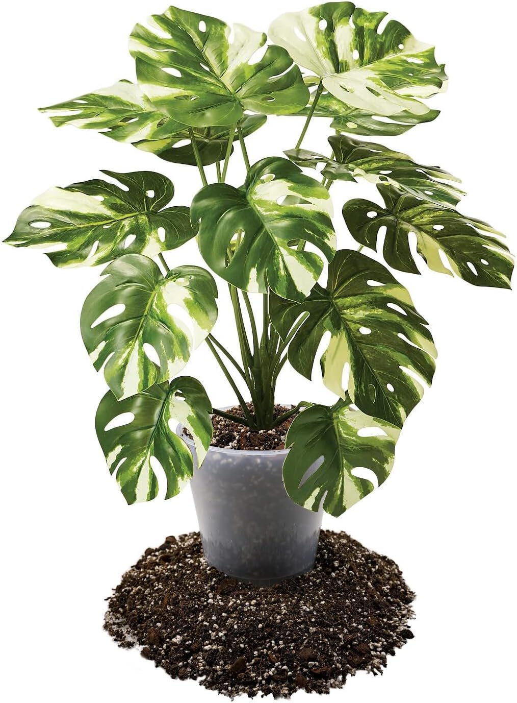 Premium Aroid Potting Mix - Soil Free Blend for Aroids - Growing Medium for House Plants by Gardenera - (4 Quart Bag)