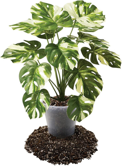 Premium Aroid Potting Mix - Soil Free Blend for Aroids - Growing Medium for House Plants by Gardenera - (1 Quart Bag)