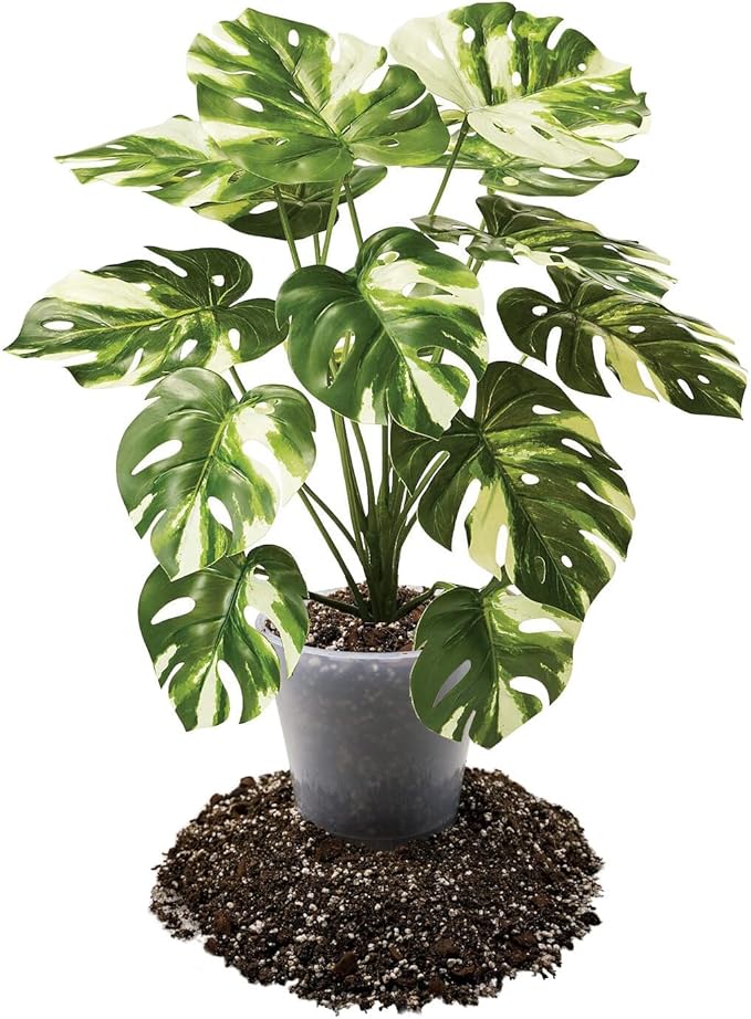 Premium Aroid Potting Mix - 1 Quart - Soil Free Blend for Aroids - Growing Medium for House Plant