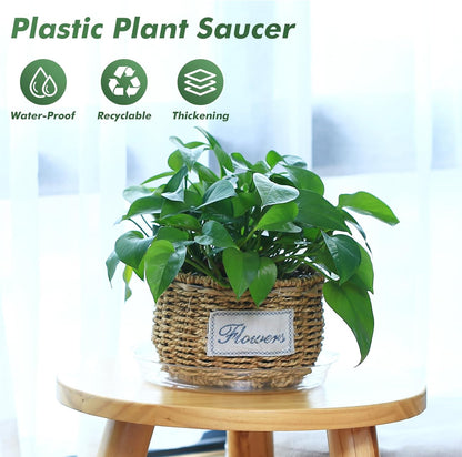40 Pack 6 Inch Plant Saucer Clear Plant Saucers for Indoors Flower Pot Saucers Small Plants Plate Dish Succulent Pot Saucer Plants Trays for Pots Bulk Plastic Tray for Flower Cactus Nursery Pots
