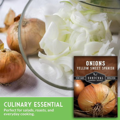 Yellow Sweet Spanish Onion Seed for Planting - 5 Packets with Instructions to Plant and Grow Long Day Onions in Your Home Vegetable Garden - Non-GMO Heirloom Variety - Survival Garden Seeds