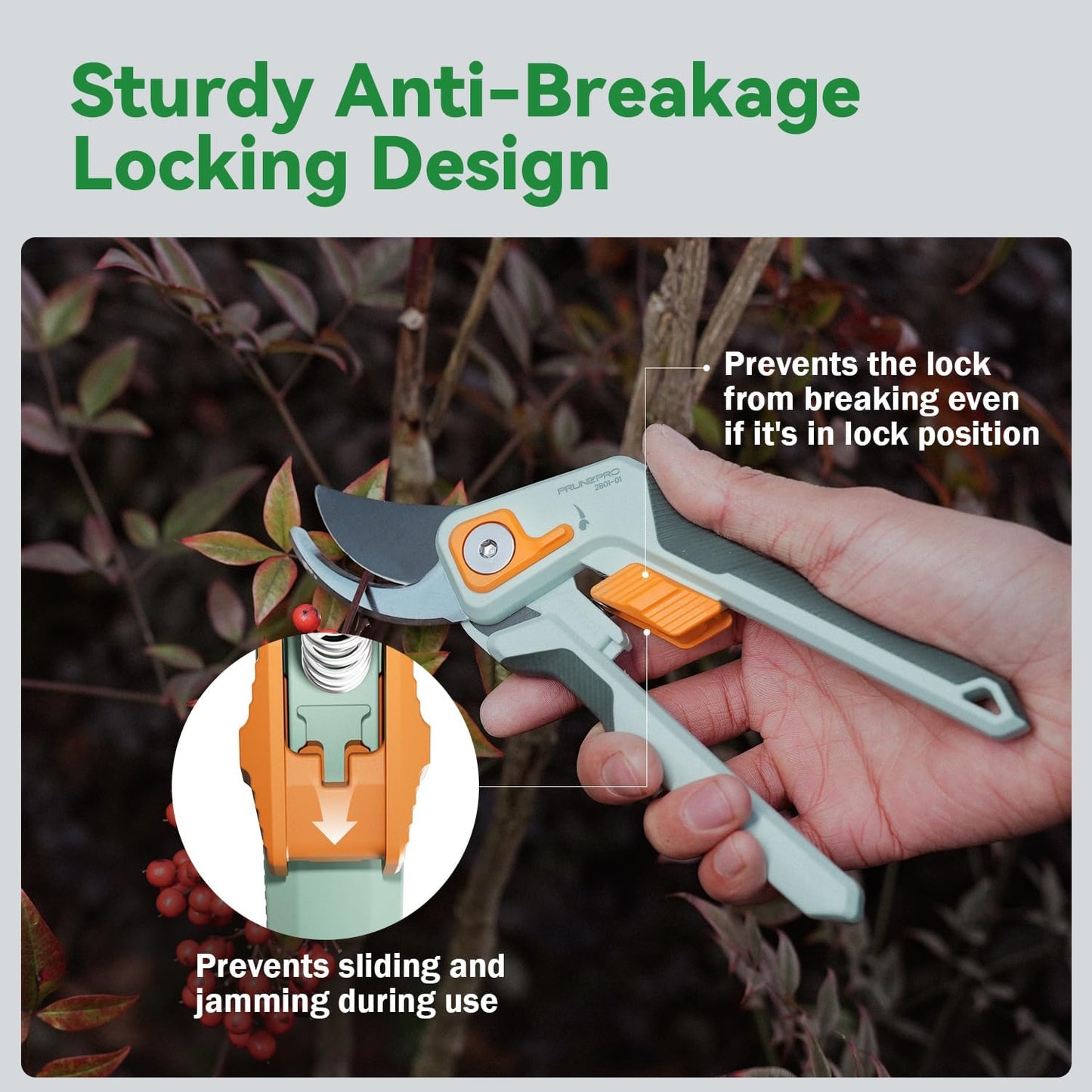 PrunePro 8" Professional Pruning Shears for Gardening Bypass Hand Pruner Stainless Steel Sharp Garden Scissors Plant Flower Rose Garden Clipper - 3 Pack