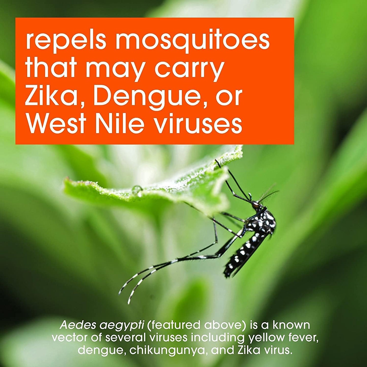 OFF! Deep Woods Sportsman Insect Repellent 4 oz. (Pack of 3)