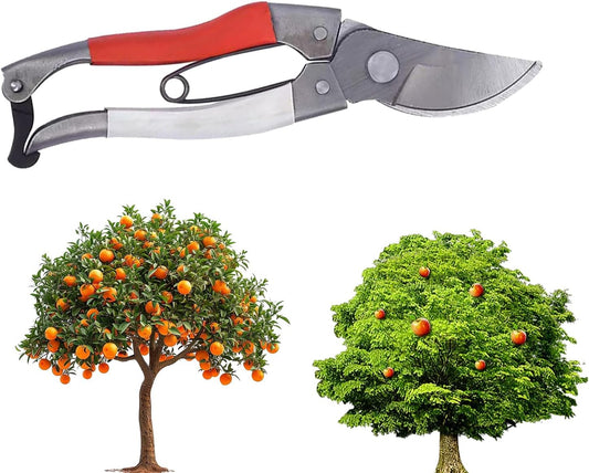 Pruning Shears - Garden Shears - Manual Pruning Shears, Heavy Duty Garden Tools for Farm Home and Professional Gardens (2)