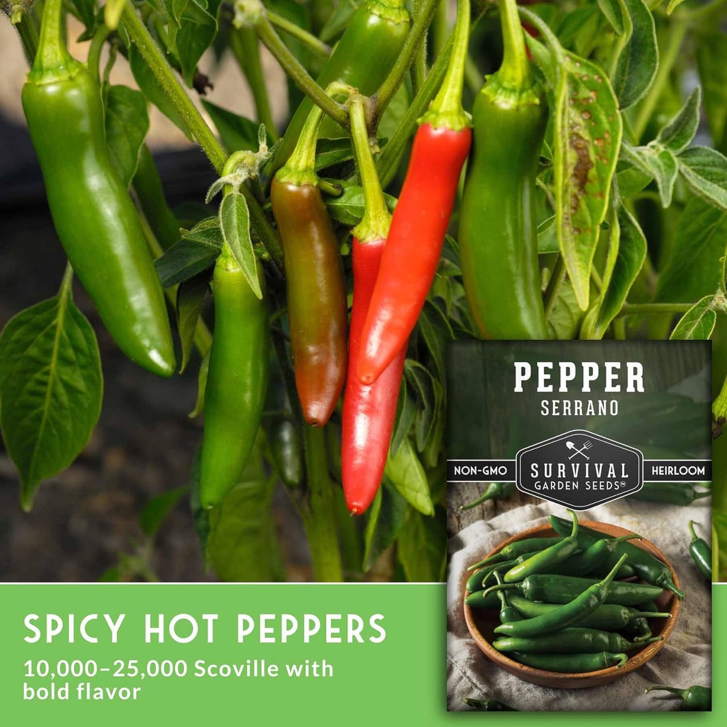Mexican Serrano Pepper Seeds for Planting | Fresh Hot Chili & Green Hot Pepper Seeds – Heirloom Non-GMO Variety for Sauce, Salsa & Pickling – Survival Garden Seeds (2 Packs)