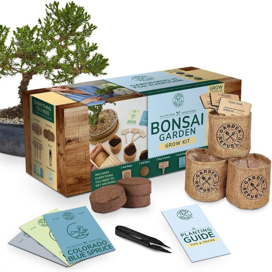 Garden Republic Medium Bonsai Tree Kit, Grow 3 Mini Bonsai Trees, Indoor Plant Growing - Starter Kit with Seeds, Soil, Planters & Shears, Gardening Gifts