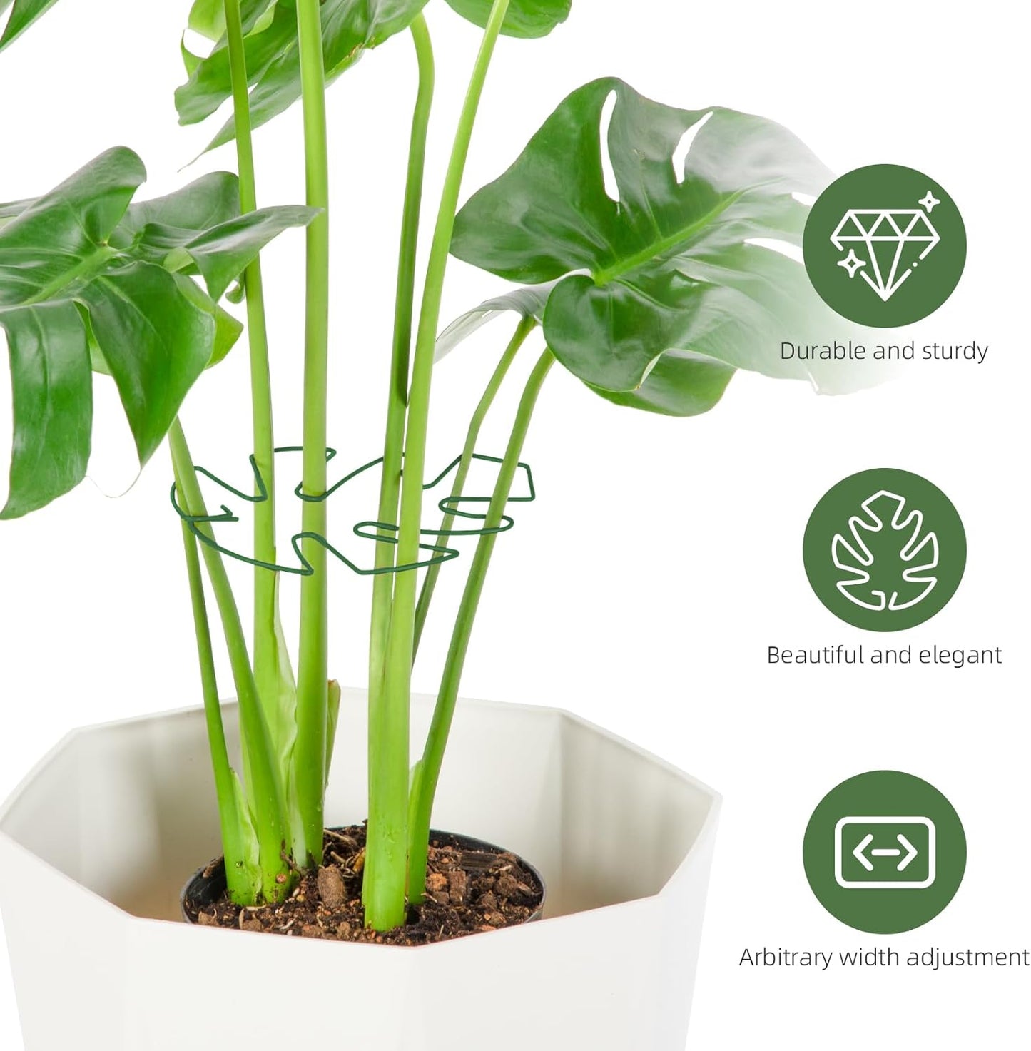 10PCS Iron Monstera Plant Support, Uniquely Designed Indoor Plant Accessories, Stable Plant Support Stakes for Indoor Plant, Turtle Shell Bamboo Clamp Set for Thriving Growth