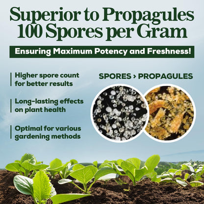 Mycorrhizal Fungi Organic Root Enhancer for Plants, Super Potent 100 Spores Per Gram, 5-Strain Blend, Rapid Results for Gardens, Houseplants, Lawns, Mycorrhizae Smart Grower 250 Grams for 250 Plants