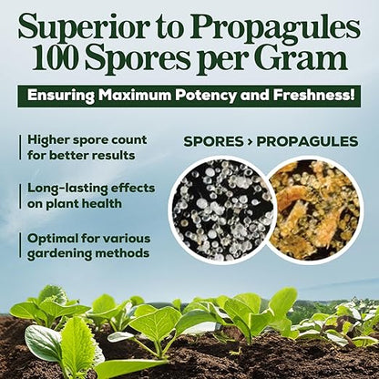Mycorrhizal Fungi Organic Root Enhancer for Plants, Super Potent 100 Spores Per Gram, 5-Strain Blend, Rapid Results for Gardens, Houseplants, Lawns, Smart Grower 250 Grams (2 Pack of 125G)