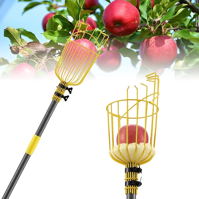 Apple Picker,156 Inch Long Handle Fruit Picker Pole with Basket for High Fruit Tree,Splicing Adjustable Apple Fruit Picker Pole for Pear,Orange,Peach,Lemon,Plum,Mango Tall Trees Fruit Grabber