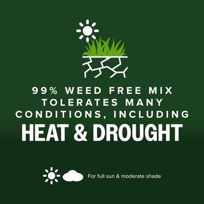 Scotts Kentucky 31 Grass Seed Mix for New Lawns or Overseeding, Grows Thicker and Greener vs. Other Kentucky 31 Mixes, Covers up to 10,000 sq. ft.
