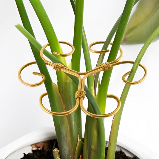 5PCS Iron Monstera Plant Support, Plant Stem Support, Turtle Shell Bamboo Clamp Set, Stable Plant