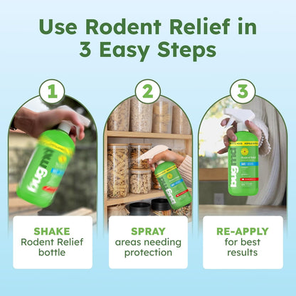 BugMD Peppermint Oil Spray for Rodents - 16oz Mouse Repellent & Rodent Repellent Spray, Natural Mice Repellent with Cinnamon, Clove, and Rosemary Oils - Safe Indoor & Outdoor Use