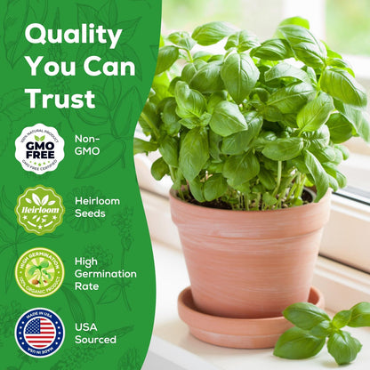 Genovese Basil Seeds for Planting - 500 Heirloom, Non-GMO Seeds - Sweet Basil Herb Seeds for Home Herb Garden, Indoor & Outdoor Herb Gardening