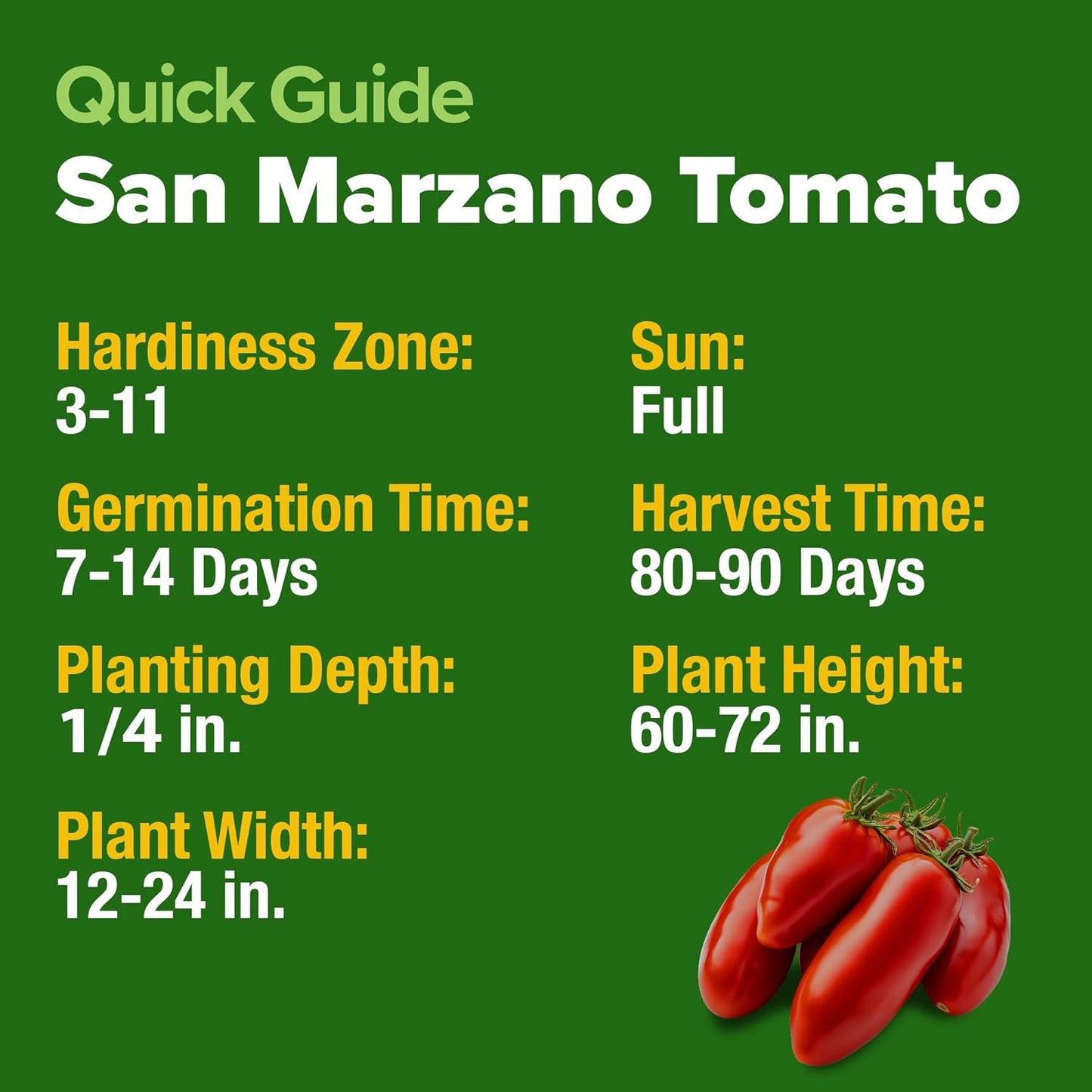 HOME GROWN San Marzano Tomato Seeds – 132 Heirloom, 𝗡𝗢𝗡-𝗚𝗠𝗢, 𝗨𝗦𝗔-𝗦𝗢𝗨𝗥𝗖𝗘𝗗 Seeds – High Germination Tomatoes for Indoor & Outdoor Growing – Classic Paste Variety for Gardeners & Home Use