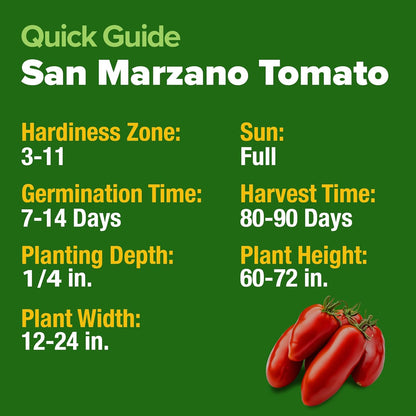 HOME GROWN San Marzano Tomato Seeds – 66 Heirloom, 𝗡𝗢𝗡-𝗚𝗠𝗢, 𝗨𝗦𝗔-𝗦𝗢𝗨𝗥𝗖𝗘𝗗 Seeds – High Germination Tomatoes for Indoor & Outdoor Growing – Classic Paste Variety for Gardeners & Home Use