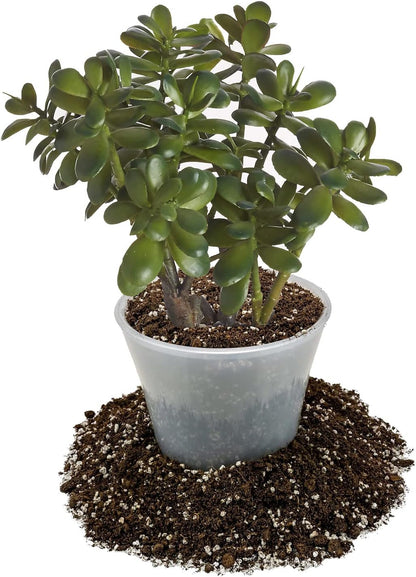 GARDENERA Premium Jade Plant Potting Soil Mix - 20 Quart (4 Bags of 5 Quart)