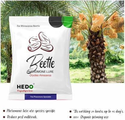 HEDO Pack of 10 Rhinoceros Beetle Pheromone Trap with Lure and Bucket Trap to Control Damage in Coconut
