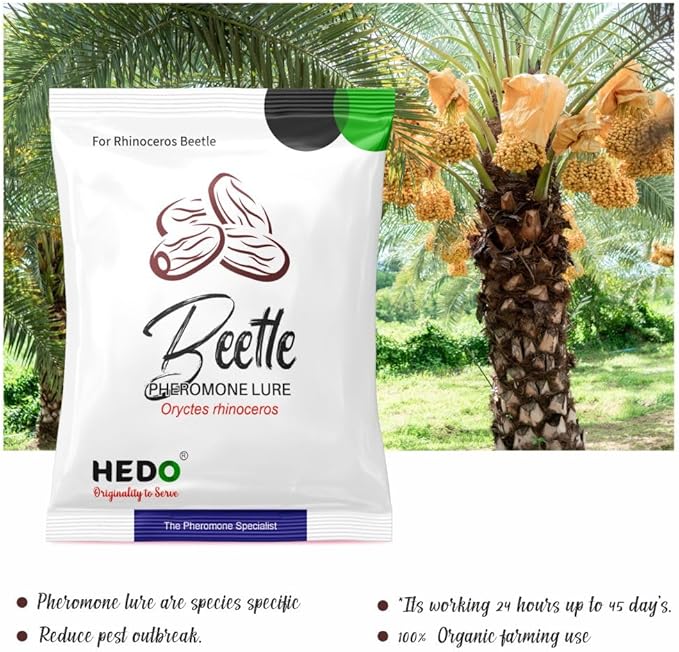 HEDO Rhinoceros Beetle Pheromone Trap with Lure and Bucket Trap to Control Damage in Coconut, Palm Areca & Other Ornamental Palm Species Pack of 5