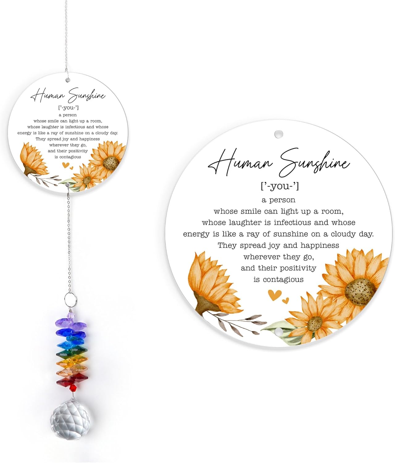 Thank You Gifts Human Sunshine Definition - Inspirational Rainbow Maker - Appreciation Keepsake - Positive Message for Nurses Teachers Volunteers Friends Family