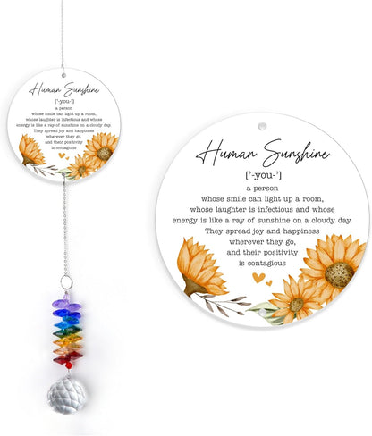 Thank You Gifts Human Sunshine Definition - Inspirational Rainbow Maker - Appreciation Keepsake - Positive Message for Nurses Teachers Volunteers Friends Family