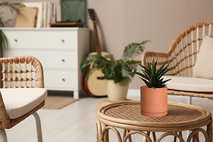 D'vine Dev Small 5 Inch Terracotta Plant Pot with Drainage Hole and Saucer, Round Cylinder Planter Pot for Indoor Plants, Set of 2, 40-X-B-2