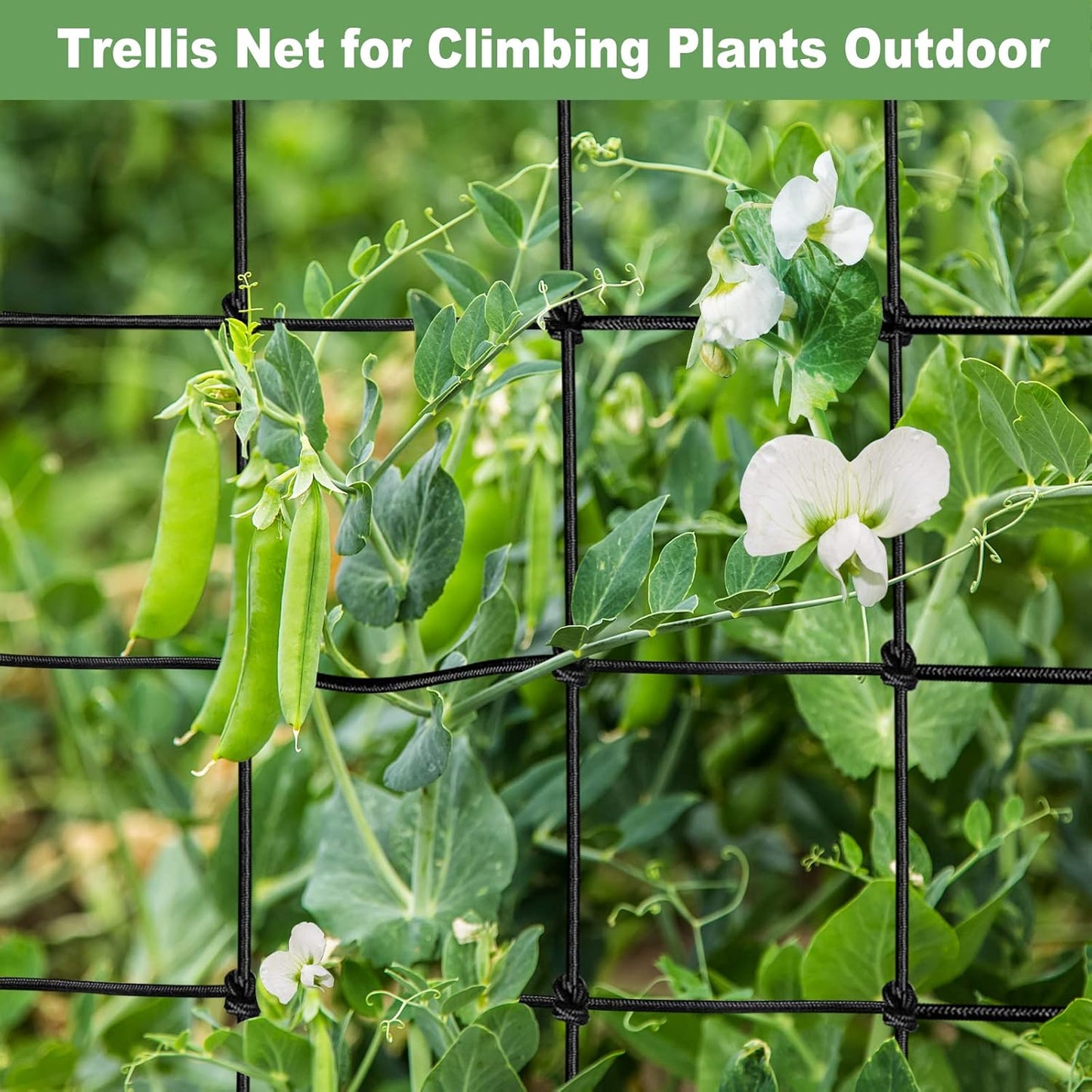 2x4 Trellis Net for Grow Tent, Stretchy Scrog Net Heavy Duty Trellis Netting with Hooks for Climbing Plants Outdoor Indoor Plant Growing Tents, Cucumber Trellis Netting Support for Garden