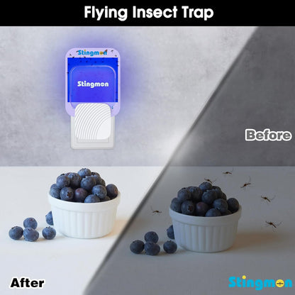 Flying Insect Trap Plug-in Fruit Fly Traps for Indoors Gnat Killer(1 Device + 6 Refills) with UV Light, Fruit Fly & Mosquito Bug Zapper for Home Office Kitchen, Child & Pet Safe, No Odor, Mute Design
