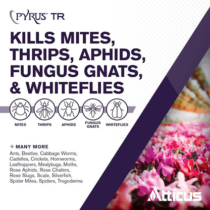 Atticus Pyrus TR Greenhouse Fogger (2oz) - Total Release Pyrethrin Insecticide/Miticide - Controls Mites, Thrips, Aphids, Whiteflies, and Fungus Gnats (Packaging May Vary)