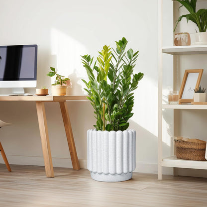 Ceramic Flower Pots - 12 Inch Plant Pot Indoor Outdoor, Fluted Large Ceramic Planters with Drainage Hole, Modern Round Planters, Apartment Decor, Plant Lover Gifts, White